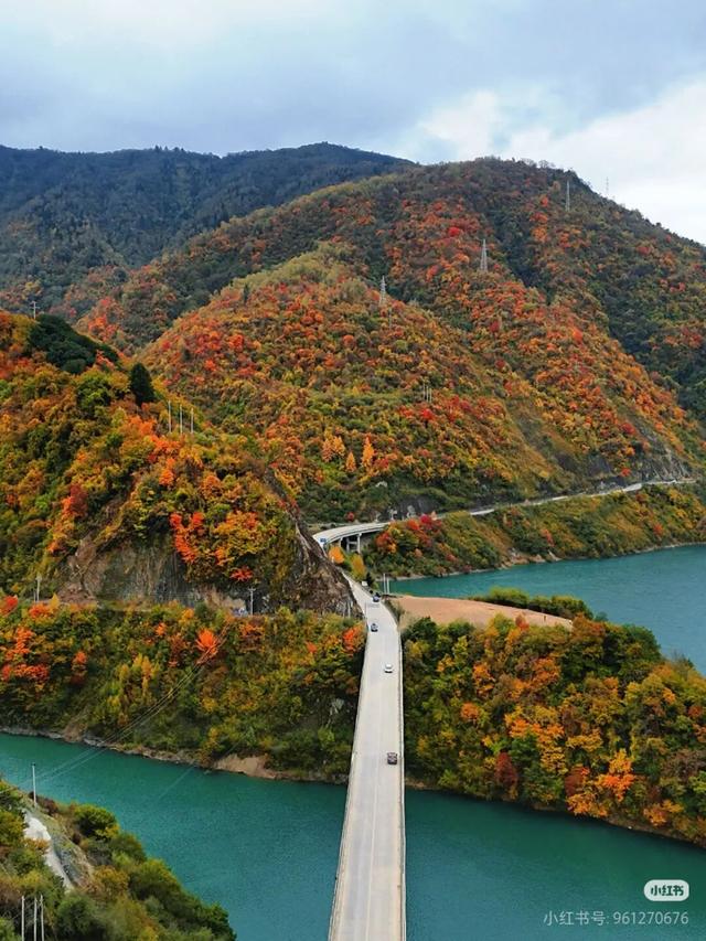 正式通车！全线免费！新挖赏秋天花板小城，绝美彩林不输九寨！地道美食50元吃爽！