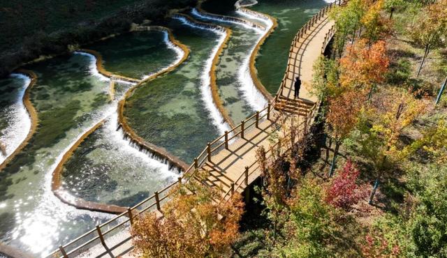 藏在武都的深秋秘境！