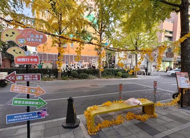 出片率100%！上海人都在找这个“限定露台”！这条“银杏大道”好拍又好吃！