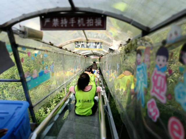 济南这片“会呼吸的森林”真的不太一样，趁暑假结束前快来一趟吧！