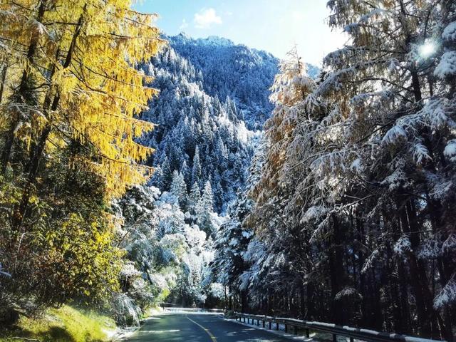 九寨沟冬日限定皮肤上线！快来九寨沟赏雪林彩池啦~