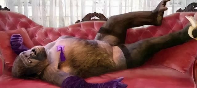 被锁暗室6年：剃毛穿丝袜当玩物，惨状撕开人类伪善面具