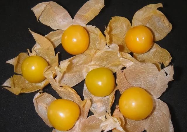 农村越来越少的植物灯笼草，老一辈称之为“补肾果”，您认识吗？