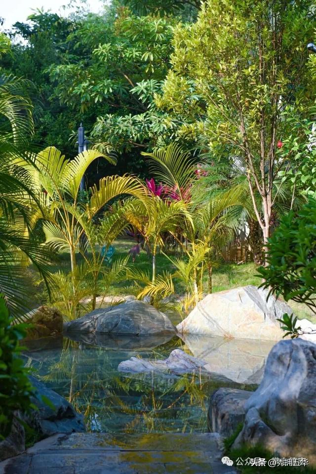 旅居云南｜德宏，是你安放身心、享受生活的最佳过冬地！