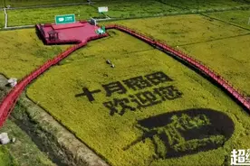 央视网《乡村中国》联袂《超级工厂》走进“十月稻田”，探秘厨房主食品牌的创新之路图片