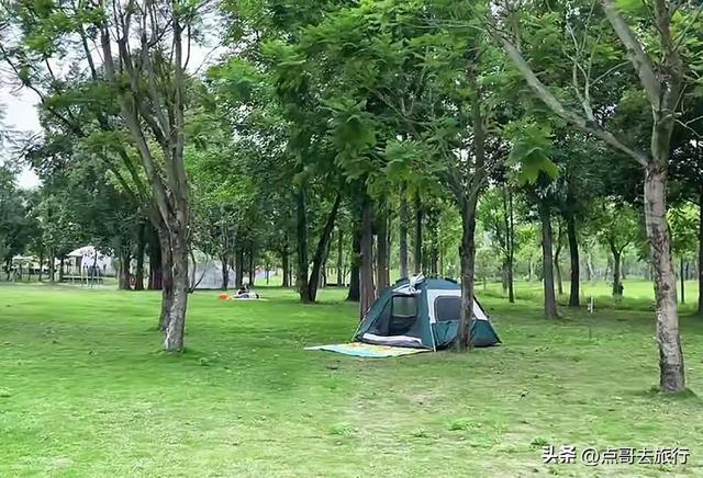 成都超级冷门公园，绿肺中的烟火成都，不要门票，1元公交直达！