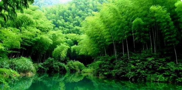 盛山十二景之竹岩（4）
