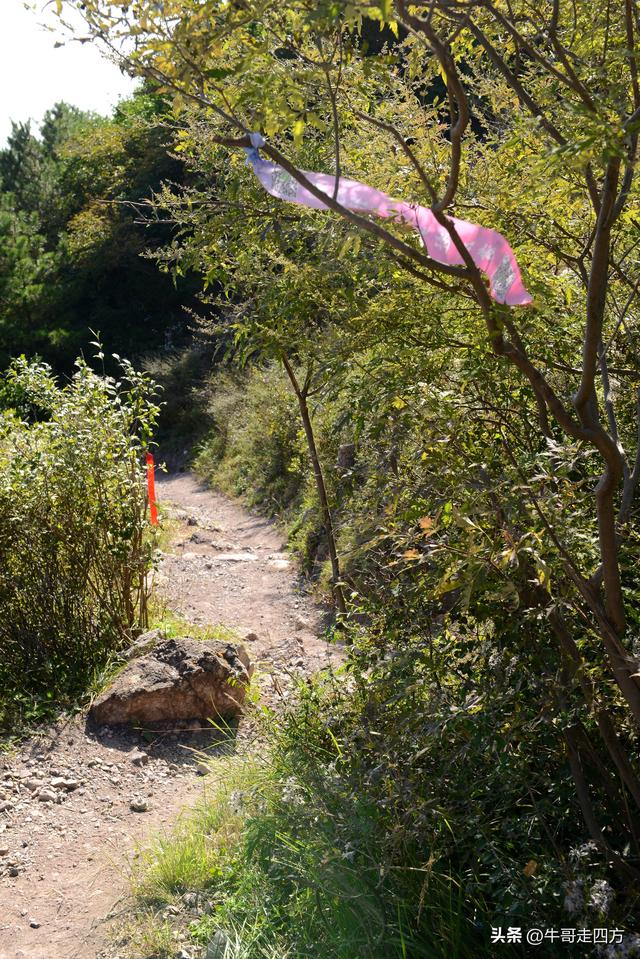 延庆应梦寺（五）：山巅极目收千嶂，林海听风涤尘心