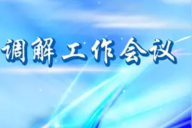 凤凰卫视丨2022年内地1494万起民众纠纷被成功调解图片