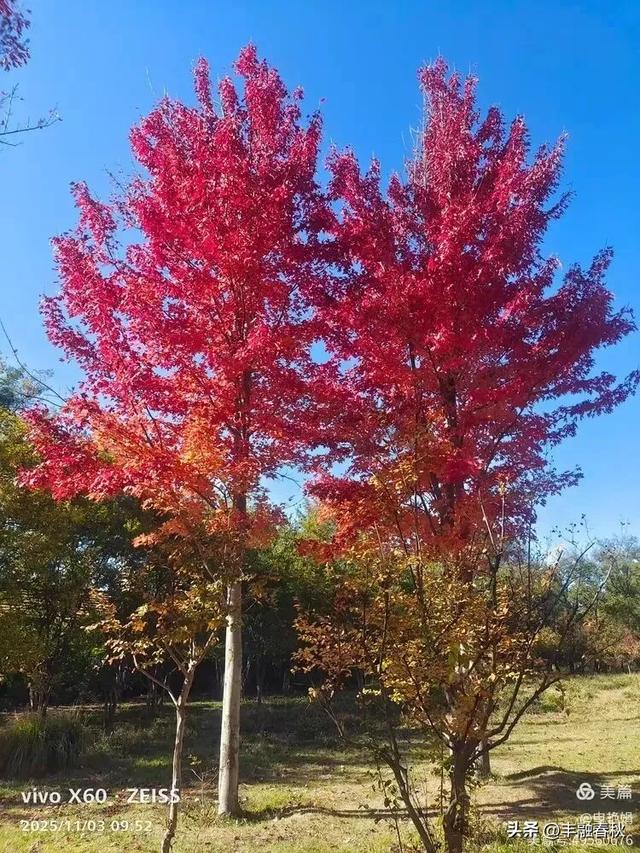 青岛即墨马山寻趣:一座地质公园的秋日私语|申艳娟