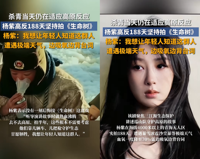 用力过猛？31岁杨紫面相变了，走上“不归路”	，张艺谋的话应验了