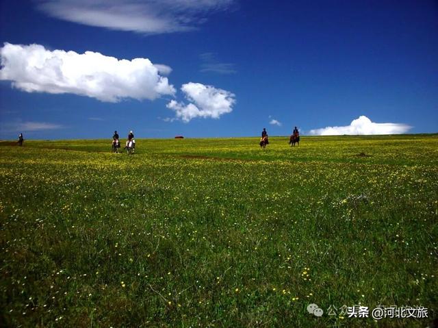 高山草甸、峡谷奇观，这座小城是被低估的自然宝藏