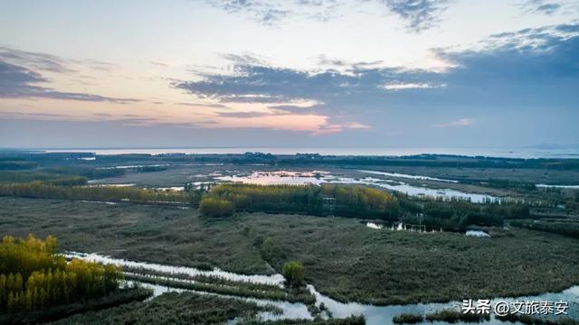 静湖、暖阳、慢时光!入冬后的东平湖已经美成人间的童话啦~