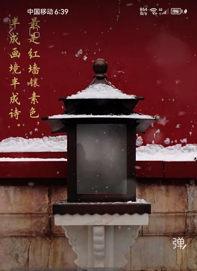 王林平随笔《期盼踏雪游故宫》