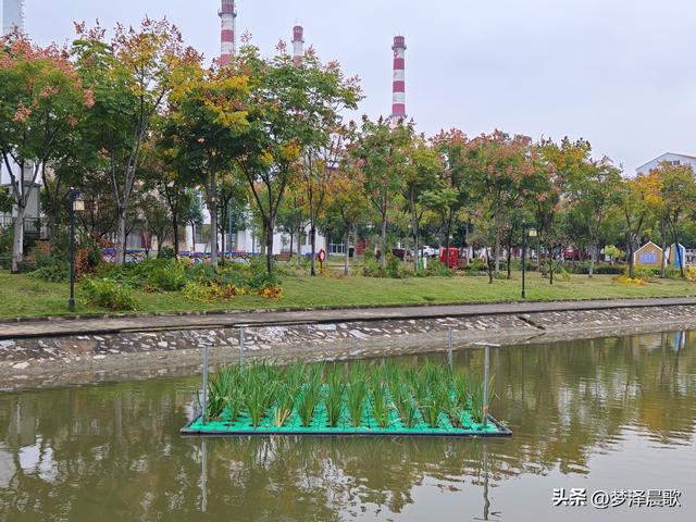 云梦生态浮岛的三重奏