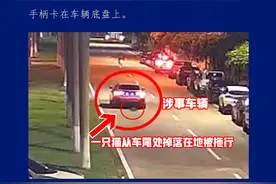 海口警方通报“车辆拖猫事件”：确认为意外情况，未发现故意伤害行为图片