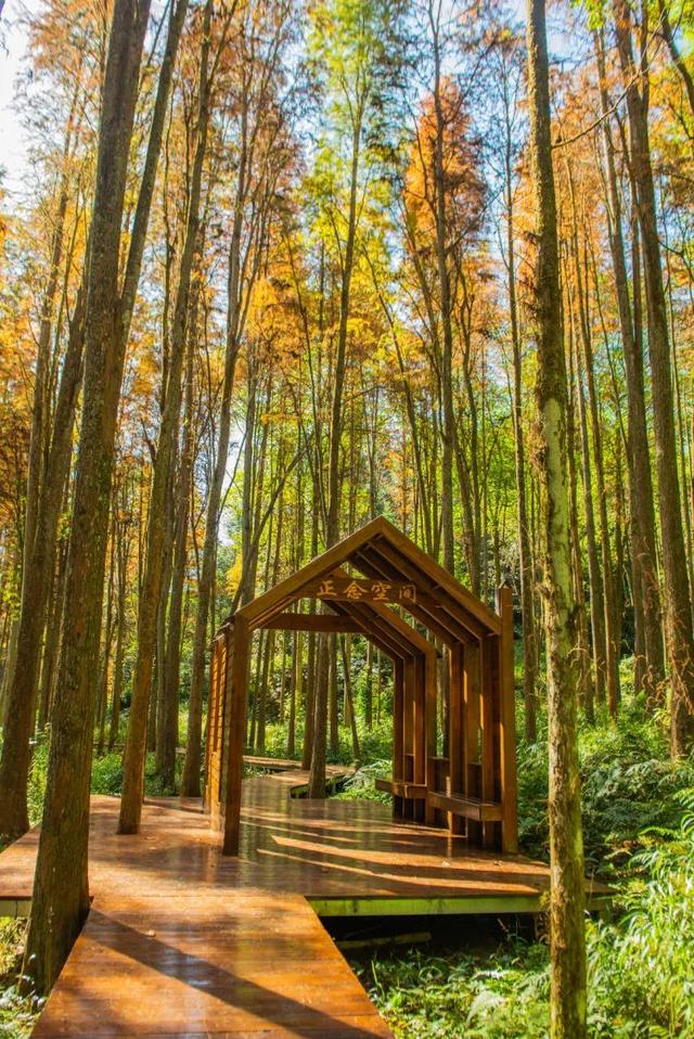 别卷作业了，卷卷大自然！韶关秋日研学，让娃成为朋友圈最酷的崽