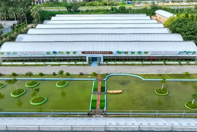 文商旅体，大旺一站配齐！