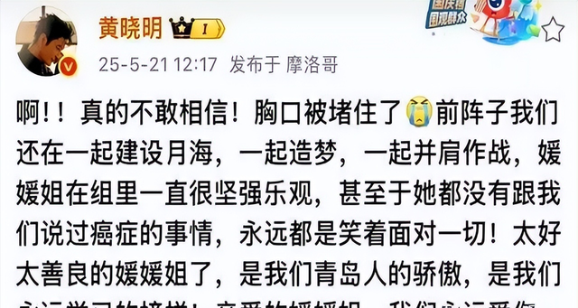 辛柏青丧妻刚满100天，离谱的事就发生了，被撮合娶马伊琍引争议