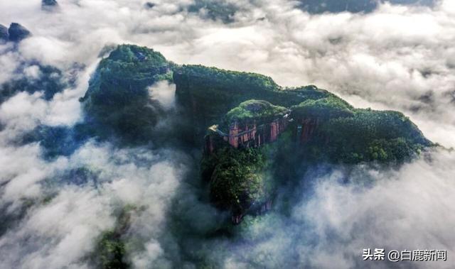 龙虎山：这片鸟的乐土