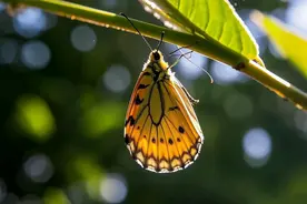 2025爆火的人生信条，全在这十条里了图片