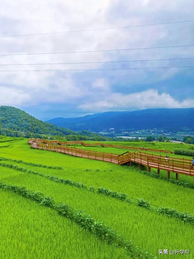 四川的秋！是令人心动的秋！