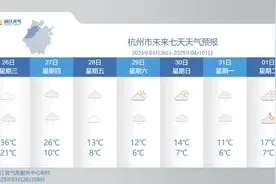 凌晨惊雷吓醒半个杭城！95条预警连发！浙江11级雷暴大风+强降水+冰雹，杭州市未来七天天气预报图片