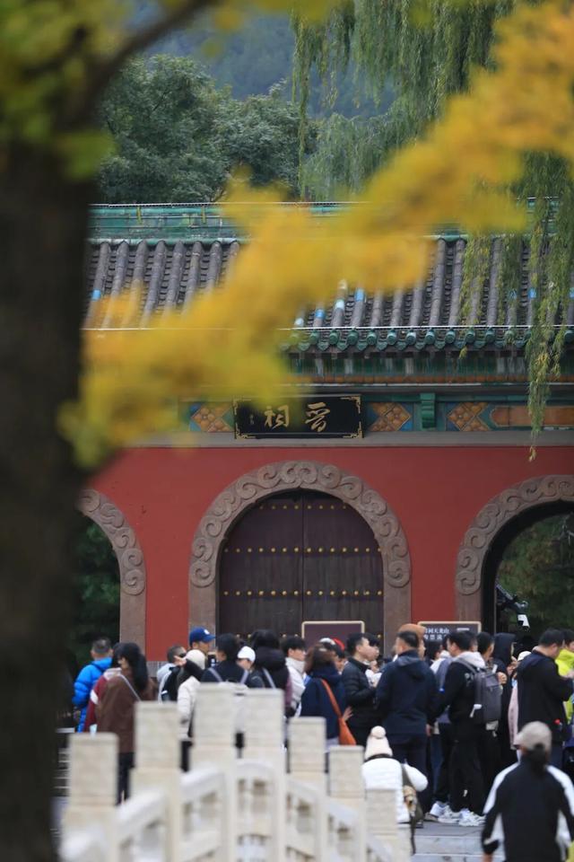 图片故事 | 秋染晋祠：当千年古建染上斑斓秋色