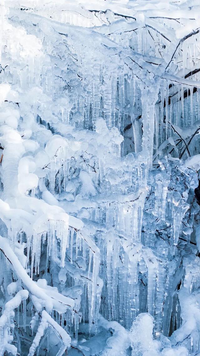 接下来的淄博，「冬日隐藏副本」藏不住了！