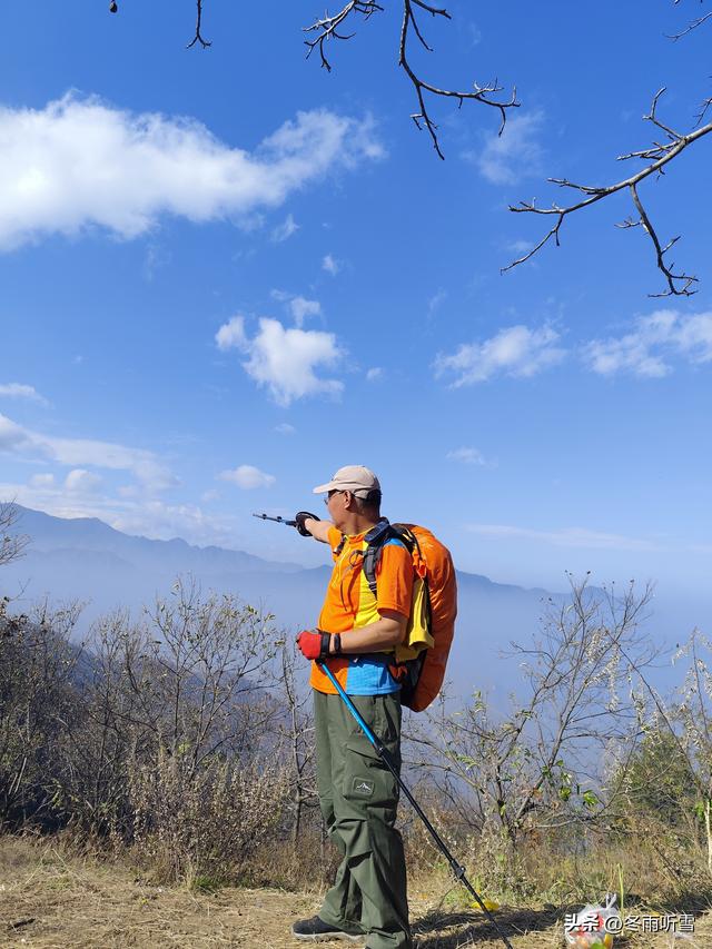 又见山山红叶飞