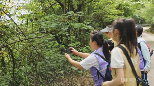 稻田抓鱼、识别植物、打糍粑……来贵州研学，超级好玩！