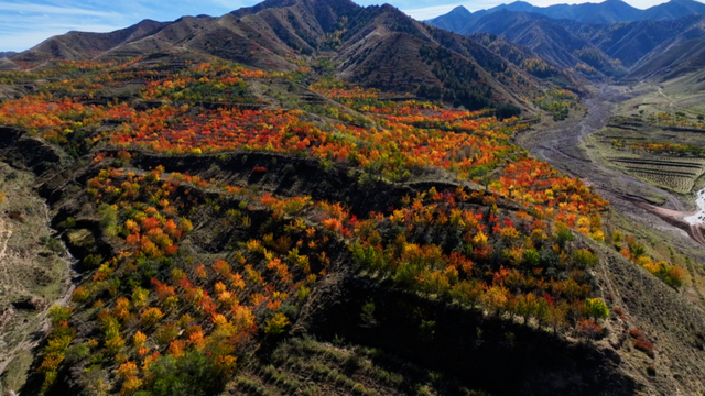 【白银文旅】冬已至秋渐远，再赏一波靖远的秋