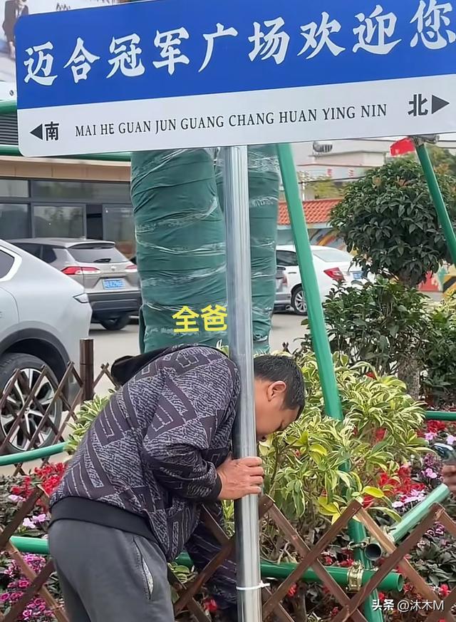 太有面了！全红婵爸爸在迈合村口种凤凰树，还插了冠军广场打卡牌