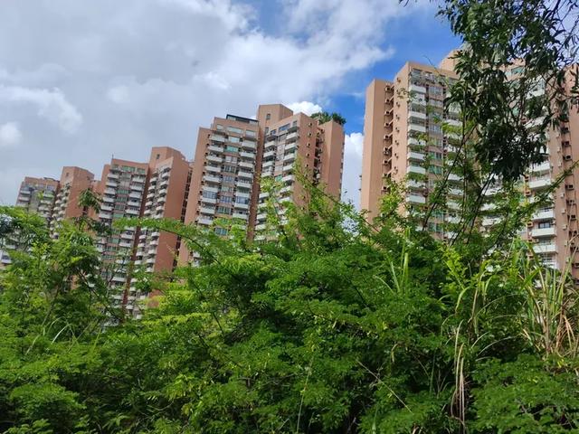 曾腾芳：在珠海登将军山