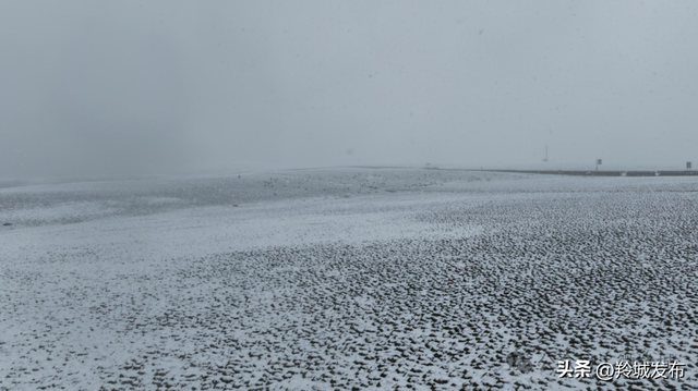 美仁初雪，八月飞白！邂逅羚城最意外的浪漫