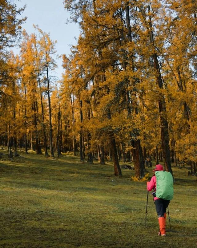 72km徒步线 | 喀纳斯何以成为国内秋景天花板？