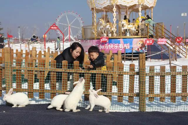 太原市大力发展冰雪经济 2026稻田雪国开门迎客