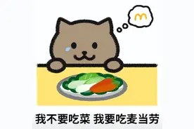 嫌弃弟弟太胖没看上？胖猫姐姐直播690万人观看，谭竹否认pua骗钱图片