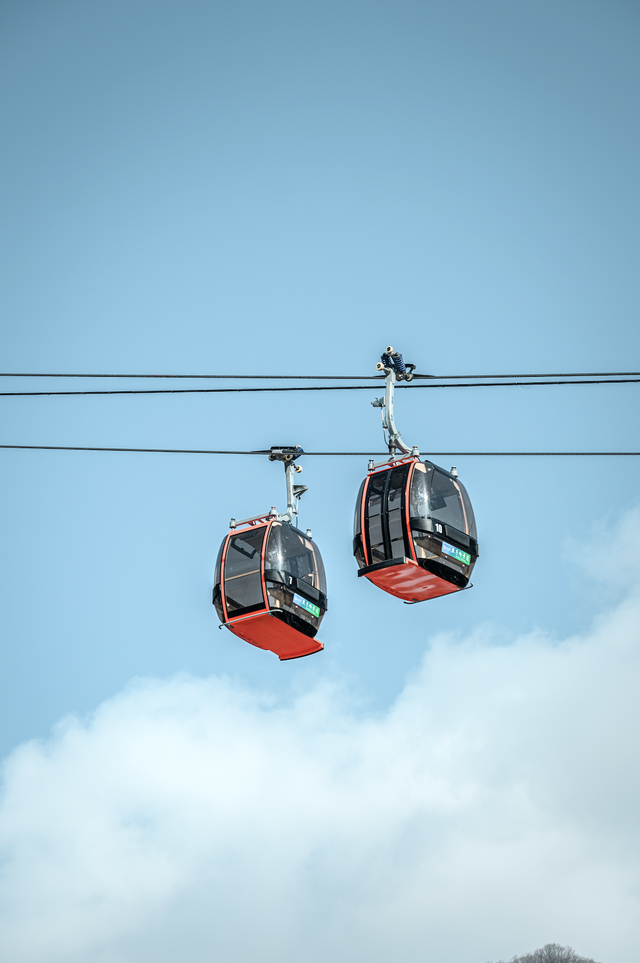 接下来的光雾山，四川人必游！耍雪、赏雪，一次性拿捏多重快乐～