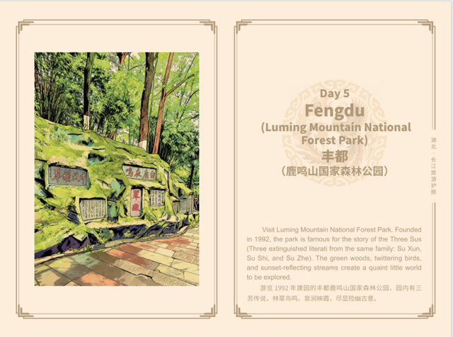 彻底火了！正被全球疯抢，事关旅游