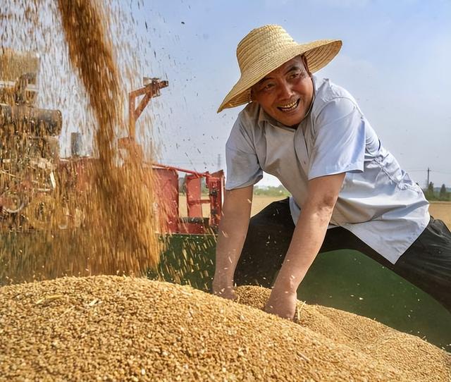 终于低下高贵头颅，美国公开表示：若中国要大豆，希望先找美国