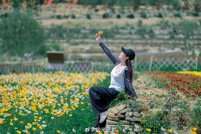 2025四季巡礼！100位寻美客邀你共绘最美泉城图鉴