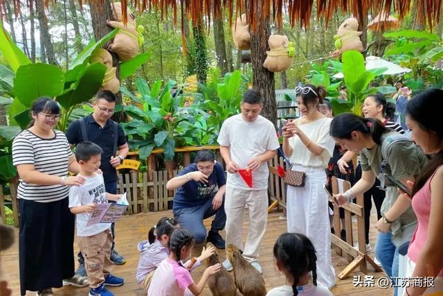 常州唯一！度假区成功入选“2025旅游项目高质量建设运营典型案例”