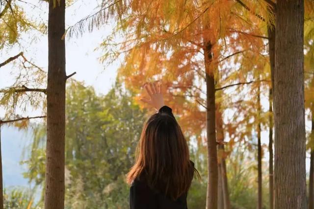 好多人都去了！金堂这个地方最近很火！