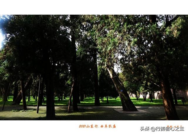 山东行游影记（208）—曲阜孔庙（三）