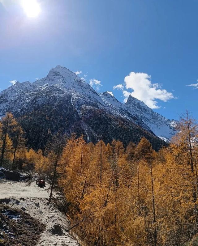 【美丽四川】美哉毕棚沟 好景缘森林‖管恒庆