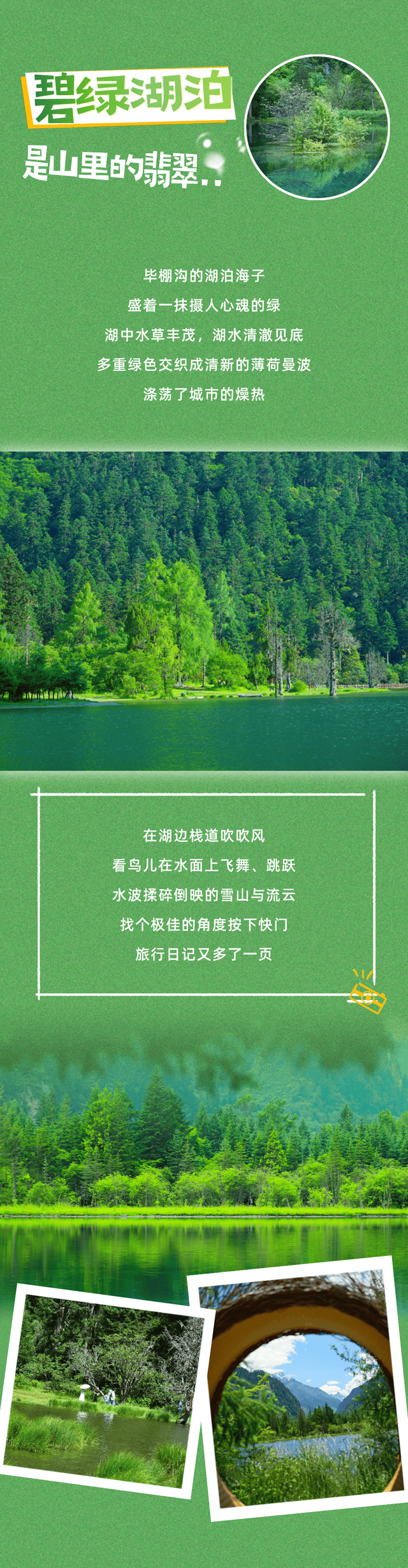 这个八月，被毕棚沟满屏绿狠狠 “拿捏”！