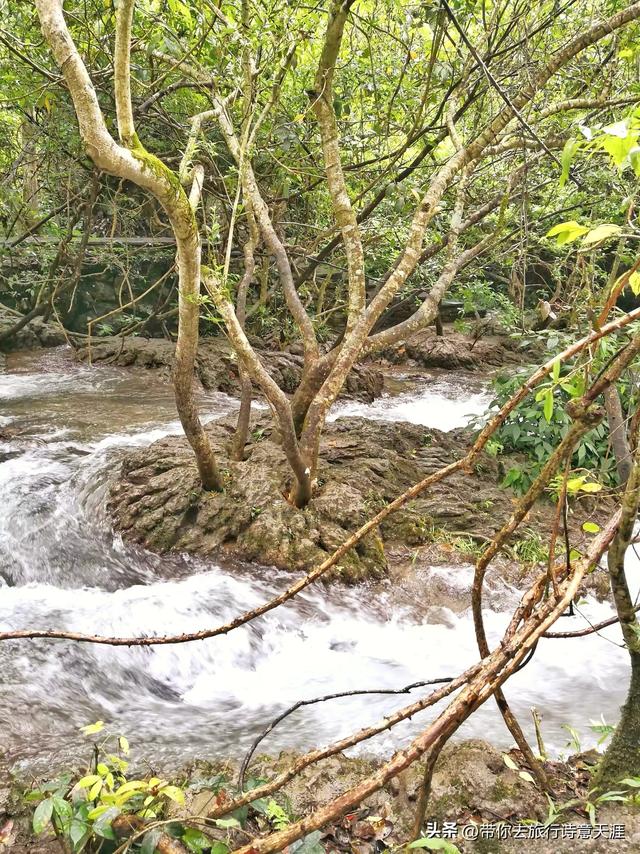 小七孔景区的瀑布和水石森林