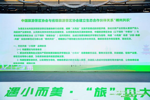 山西省旅游协会景区分会参加"小而美"场景焕新示范暨生态招商活动