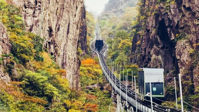 黄山秋景现场播报：云海“开挂”，秋色“沸腾”，抓紧冲